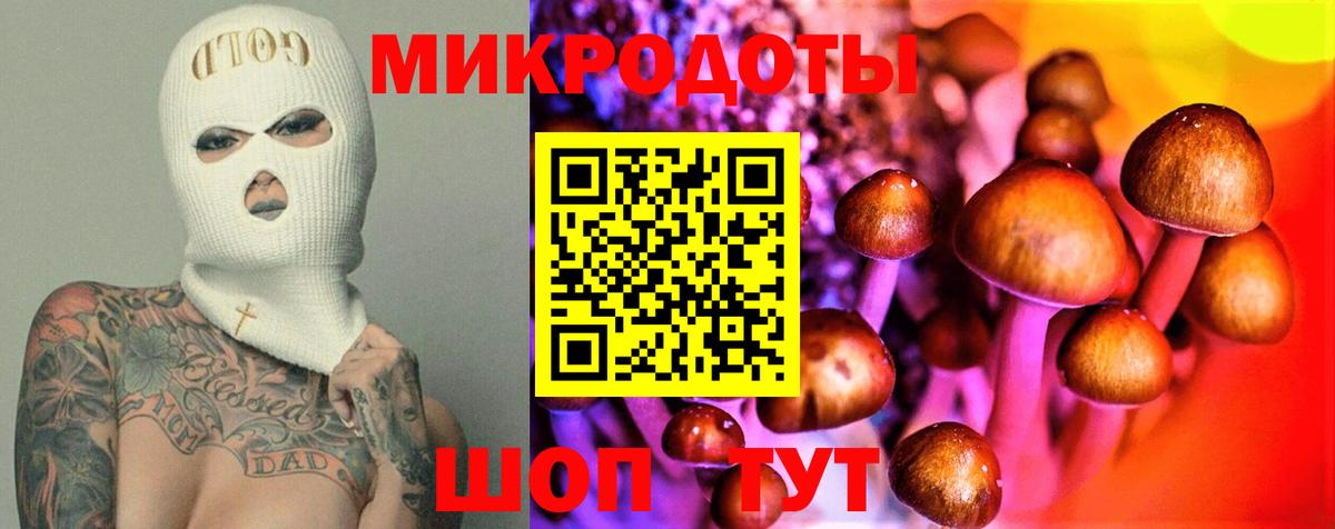 Галлюциногенные грибы Psilocybe  Вход с VPN  Тимашёвск 